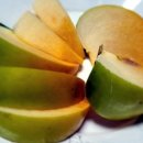 배감농장 이미지