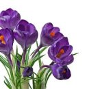 봉선체육공원1 이미지