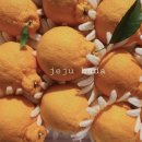 웅이네 농장 | 🍊 당도보장! 새콤달달 레드향 한라봉 판매시작해요! 한라봉 10kg 5kg 3kg, 레드향10kg 5kg 3kg