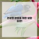 몸펴기 생활운동 A | 내 몸의 삐걱거림, 이제 그만! 도수치료 받고 달라졌어요!