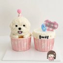 우신용마트 | 강아지 맛집 l 비주얼 미쳤다!😍 뭉찌 생일케이크, "하루의 선물 수제간식&amp;강아지 케이크" 내돈내산 후기