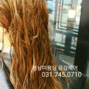 돼지꼬리미용실 이미지