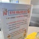 미주농장 | 경남 함안 가족나들이, 데이트에 좋은 딸기체험! 미주 딸기농장 체험 후기