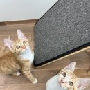 연두민박 이미지