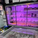 비룡로 | 가평 키즈펜션 :: 가평 쥬쥬키즈풀빌라 103호 두돌아기와 함께 방문 후기. 6인 방문 후기