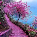 홍천중앙시장 이미지