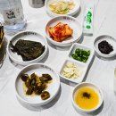 도그스토리 이미지