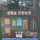 266 | 서울근교아이랑갈만한곳 숲 266 바베큐장 다녀온 후기, 할인 정보