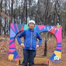 고봉 티스토리