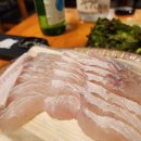 오징어나라 | 오징어 유목민의 최종선택 단관택지 오징어나라 내돈내산 후기