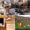 스테디버튼 이미지
