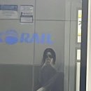 송딩이 네이버블로그