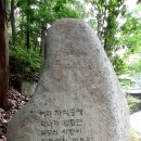 능소화(6월30일) 이미지