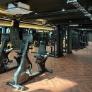 디올핏 피트니스 이미지