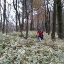 용강목장 이미지