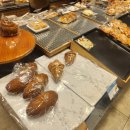 pet66다2024 이미지