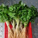 (주)우석생활건강 이미지