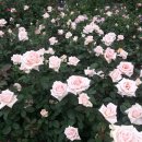 성서고등학교 이미지