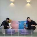 부산애견호텔 강아지 유치원 맘바이 서면본점 이미지