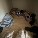 GS25평창방림점 | 이모저모고모숙모