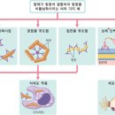 코로나 항체와 백신 접종 이미지