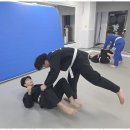 화랑 합기도 & 주짓수 이미지