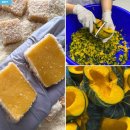 궁전예가 이미지