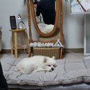 몽글스테이 이미지