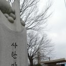 술푸는세상 이미지