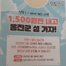 시내버스 요금 1.500원으로 여객선 본격시행 이미지