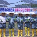 가평 태양광발전소 이미지