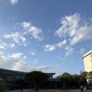 멍식탁 | [제주여행] 제주도 애견 동반 숙소 한화리조트 제주 멍패커 2박3일 후기