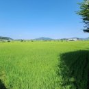 강화길공인중개사사무소 이미지