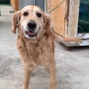 성황초등학교 이미지