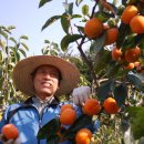 신곡농장 이미지