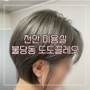 천안 불당동 탈색 미용실 도도끌레오 경험 많은 원장님 추천