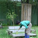 러집살이 당해도 러바오에 대한 애정이 넘치는 강현바오🐼👨‍🌾 이미지