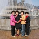 성산초교 이미지