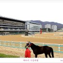 경마공원 이미지
