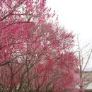 남평문씨본리세거지 주차장 이미지