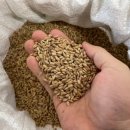 국립종자원 충북지원 이미지