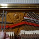 서초중앙로 110 이미지