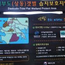 상동대부