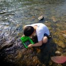 쁘띠 힐링 카라반 이미지