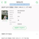 옹성우 공식 팬클럽 위로(WELO) 2기 우수회원 추가 등업 안내 이미지