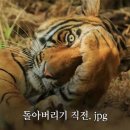 김형제고기의철학 전주효자점