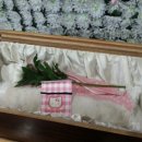 안녕, 애기 이미지