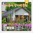 청주 율량동 봄바람 살랑이는 숲속 카페, 지금 안 가면 후회할 수제 초콜릿 맛집 초코루나