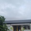 레오네잡화점 티스토리