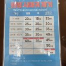 본연의 회복(절대적 | 내돈내산 부산 편평사마귀 제거 후기 비용 회복과정